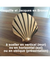Coquille Saint Jacques en bronze poli