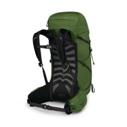 Sac à dos OSPREY Talon 33 (Homme) Greenbelt/Black