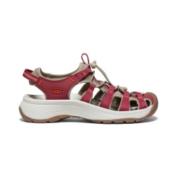 KEEN Astoria West Sandal Merlot/Scarlet Ibis (Femme)