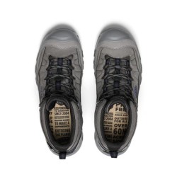 KEEN Targhee IV Mid WP Steel Grey/Coronet Blue (Homme)