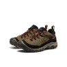 KEEN Targhee IV WIDE WP Sea Turtle/Roasted Pecan (Extra-Large Homme)